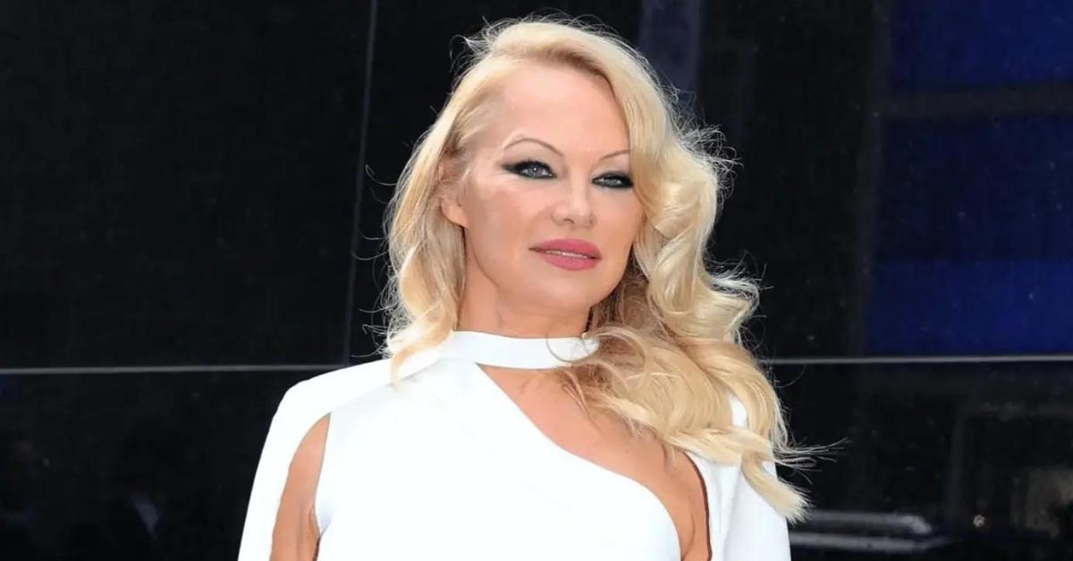 pamela anderson spotted with mystery man son dylan after documentary