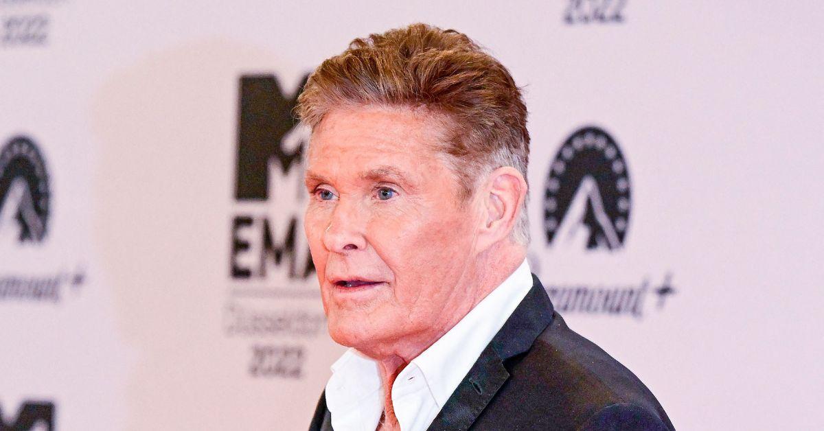 Photo of David Hasselhoff